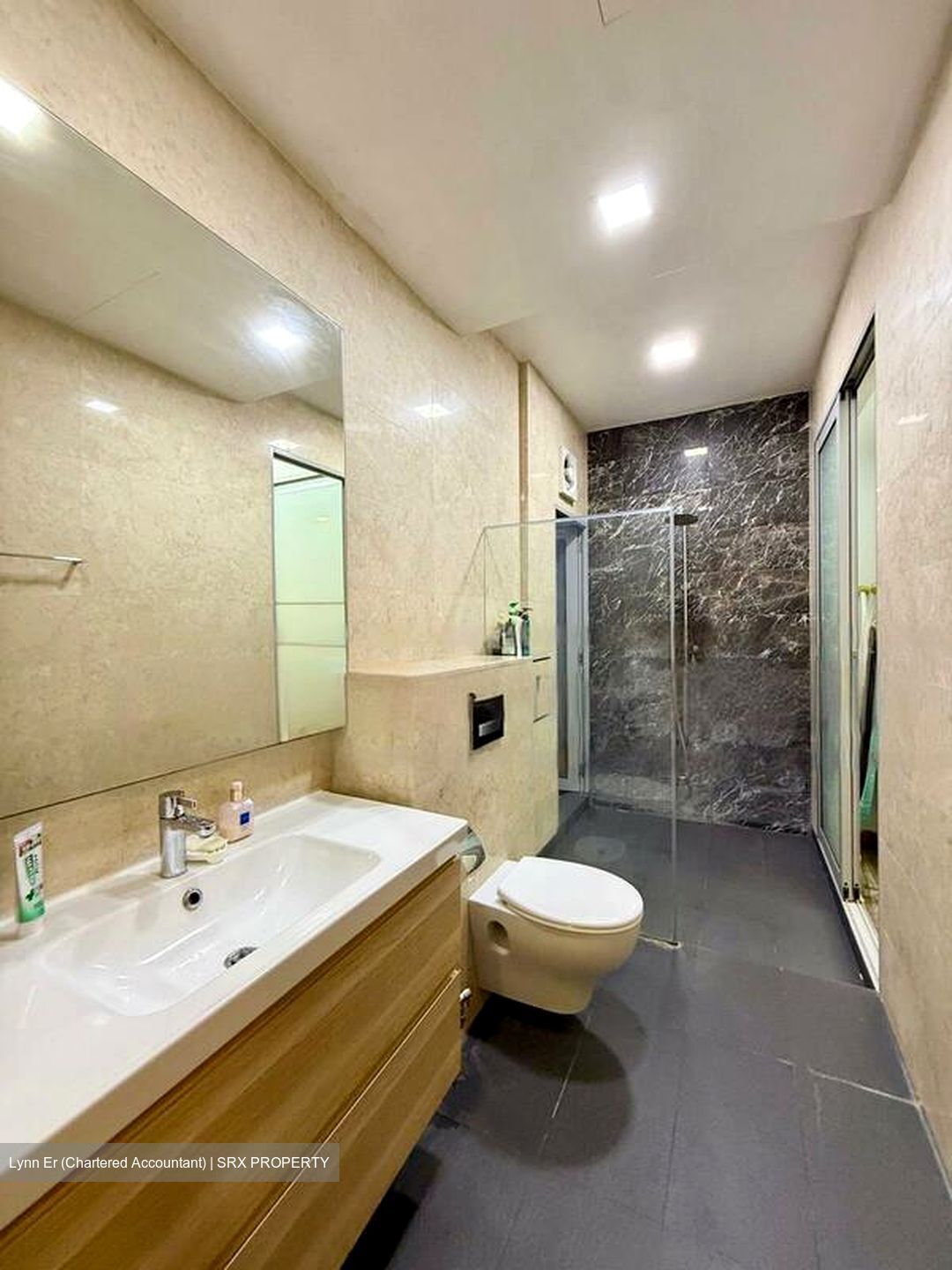 D' Chateau @ Shelford (D11), Apartment #477392861